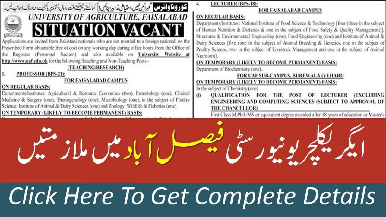 University Of Agriculture Faisalabad Jobs 2020 Latest ...